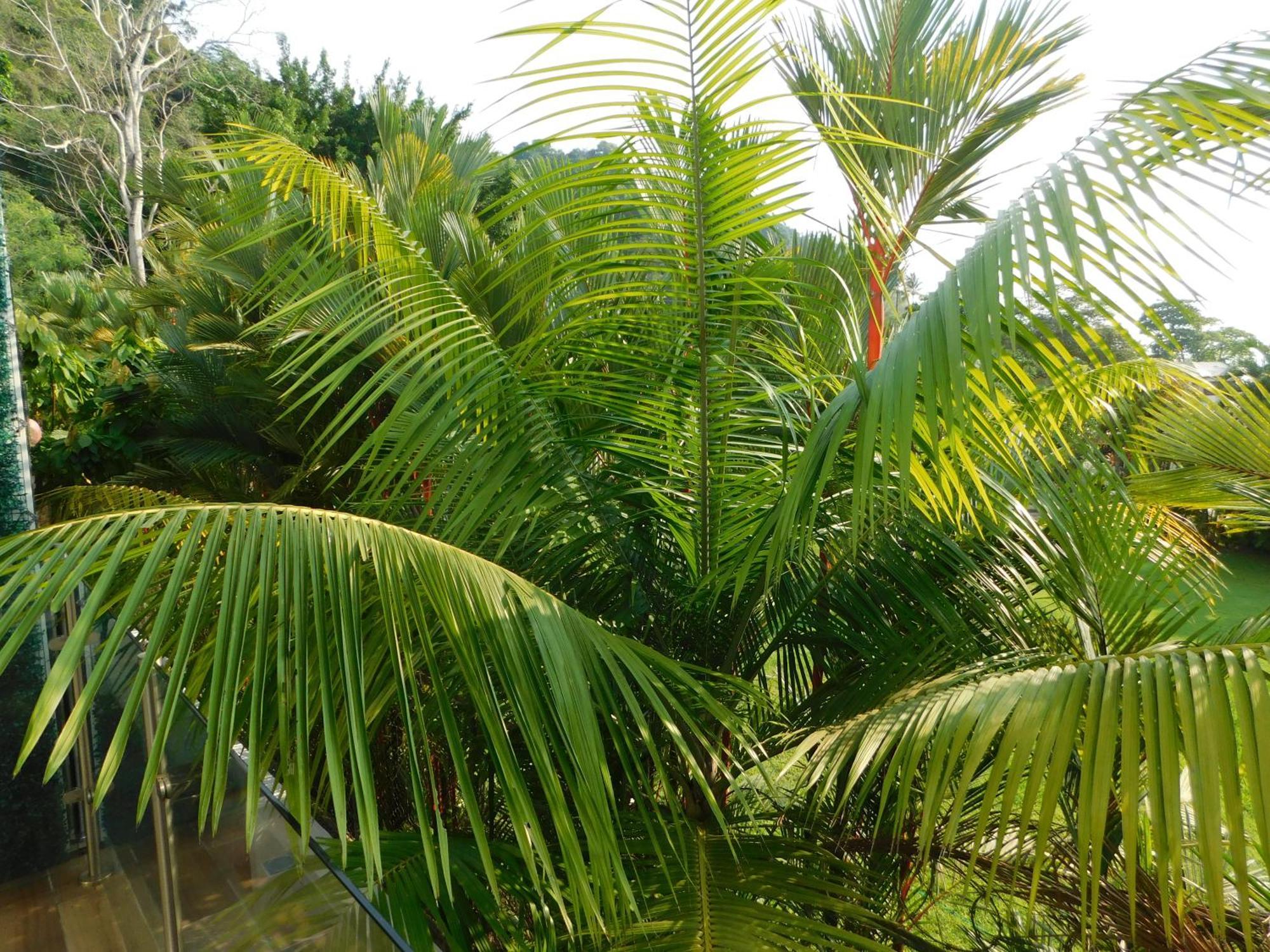 Sunset 205, Sleeps Six, Next Door To The Pool, 100M To The Beach! Хако Екстер'єр фото